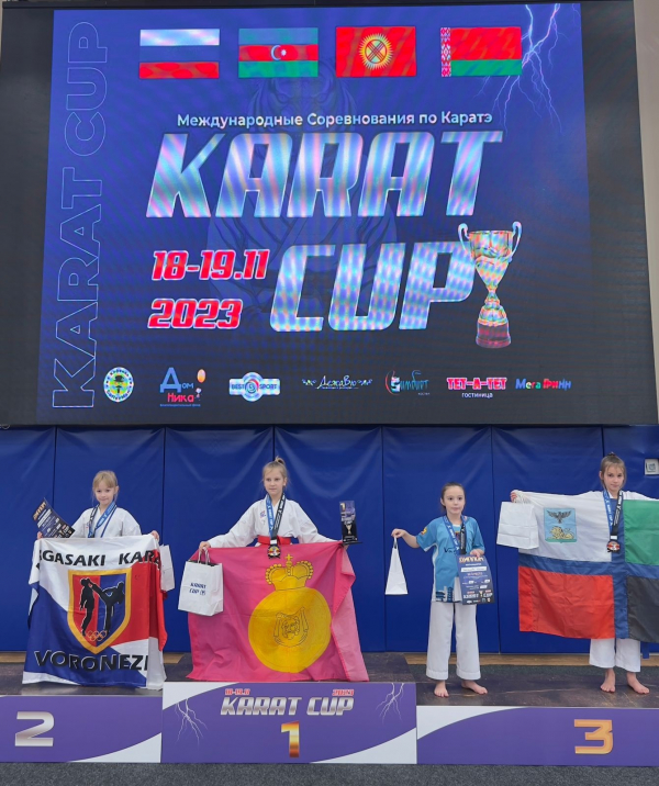 Прошли Межрегиональные соревнования по каратэ «Karat Cup»