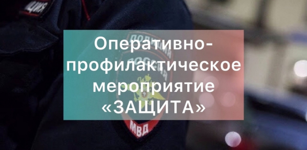 На территории городского округа Воскресенск в период с 01 по 10 июня проводится оперативно-профилактическое мероприятие &quot;Защита&quot;