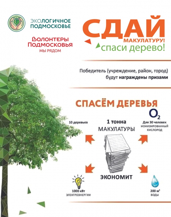 Акция «Сдай макулатуру – спаси дерево!» пройдет в Воскресенске 17 мая